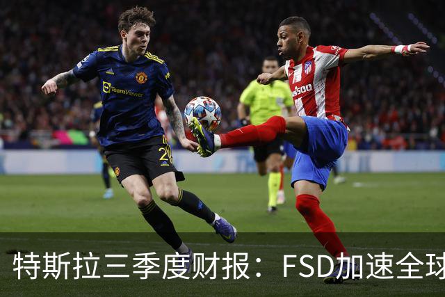 特斯拉三季度财报：FSD加速全球落地，中国市场仍待突破